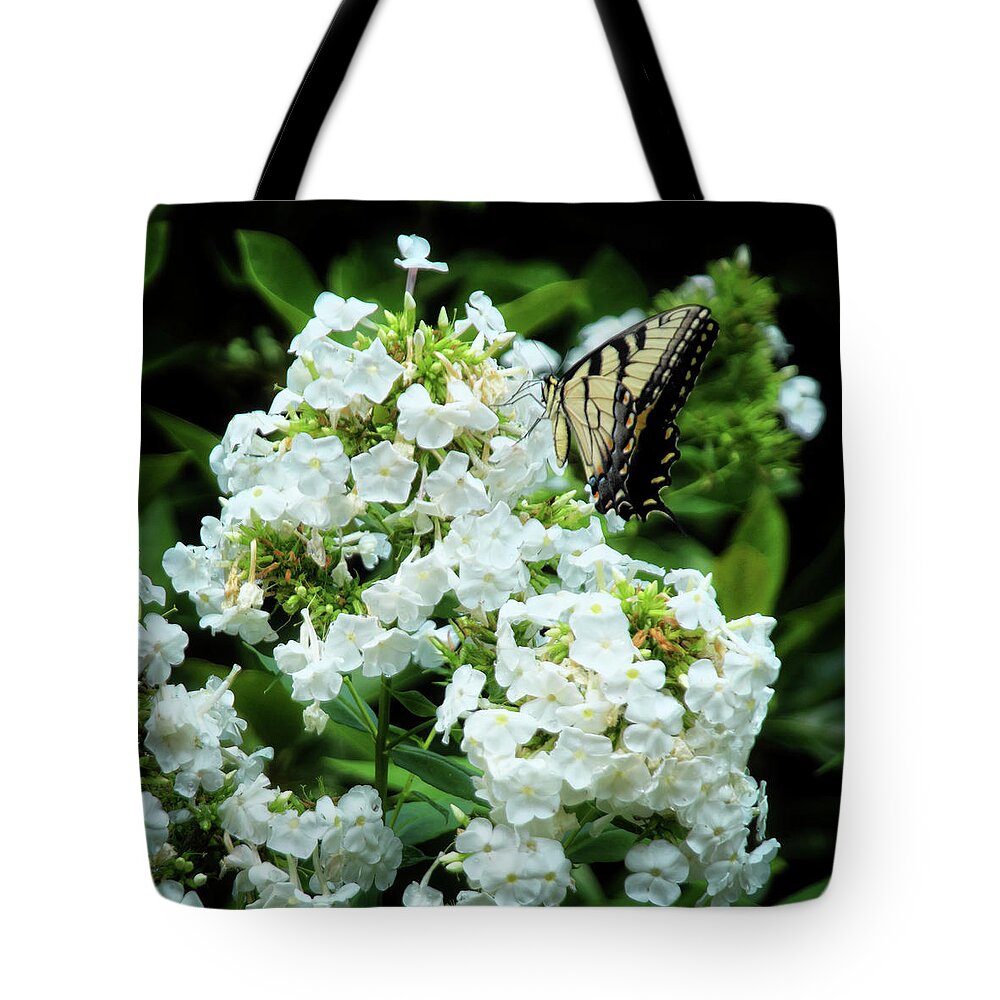 Butterfly Tote Bag featuring the photograph Yellow Swallowtail and Bloom by George Taylor