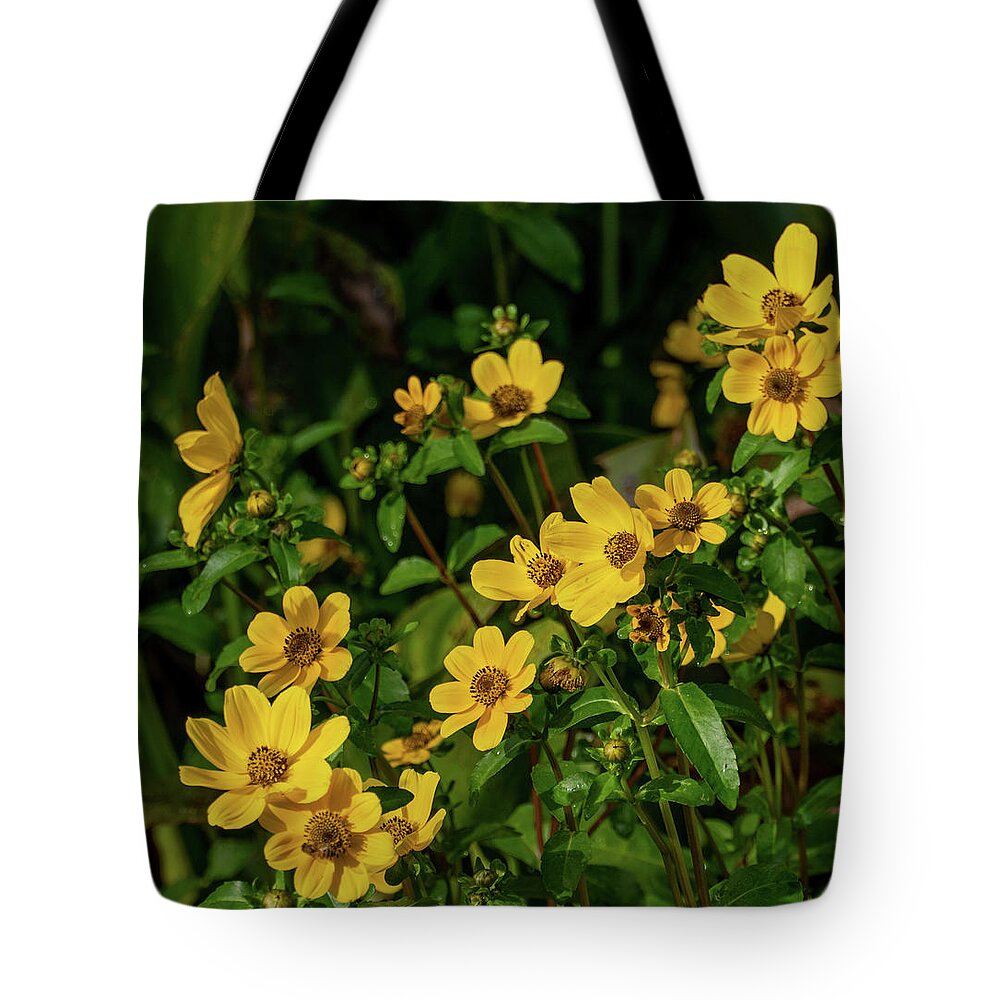 Flower Tote Bag featuring the photograph Yellow Swamp Daisies by Margaret Zabor