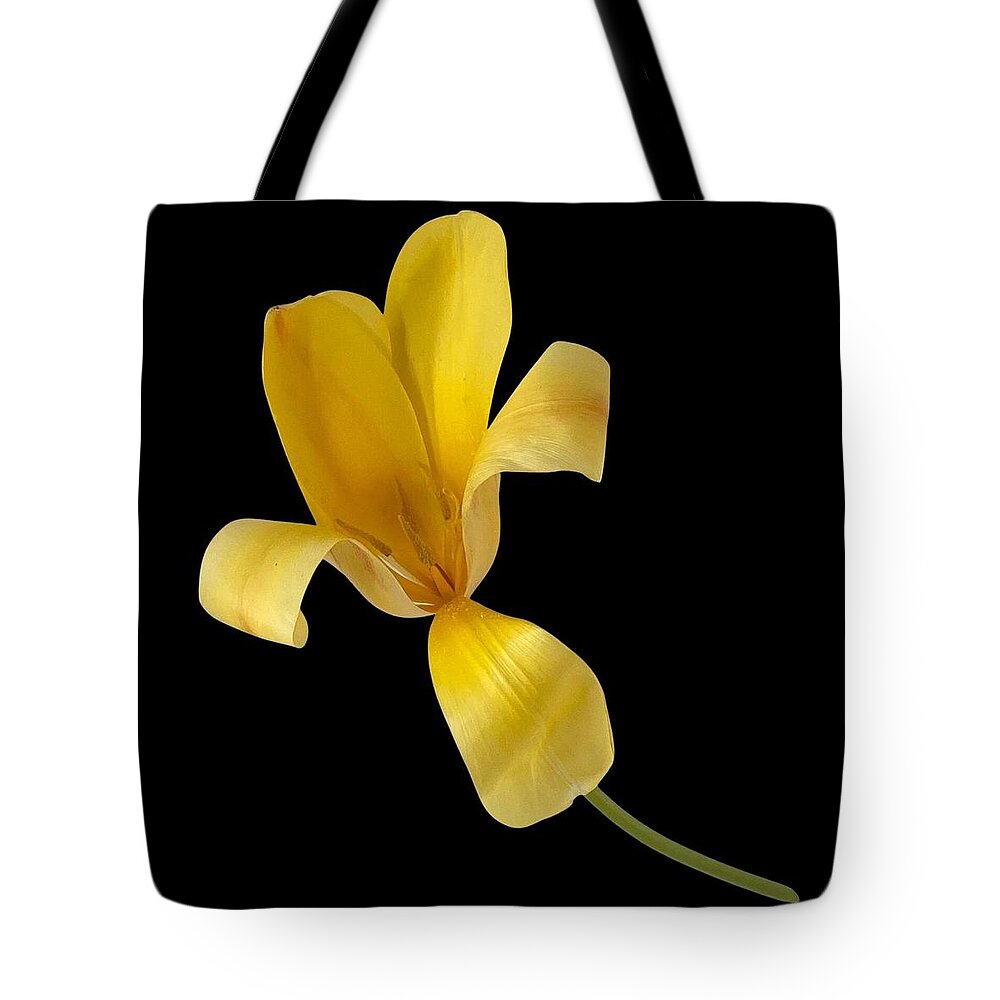 Yellow Tote Bag featuring the photograph Yellow Tulip Still by Jerry Abbott