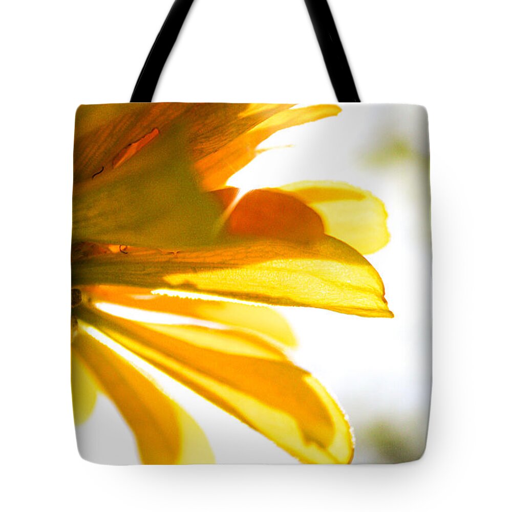Zinnia Elegans Tote Bag featuring the photograph Yellow Zinnia Sunshine by W Craig Photography