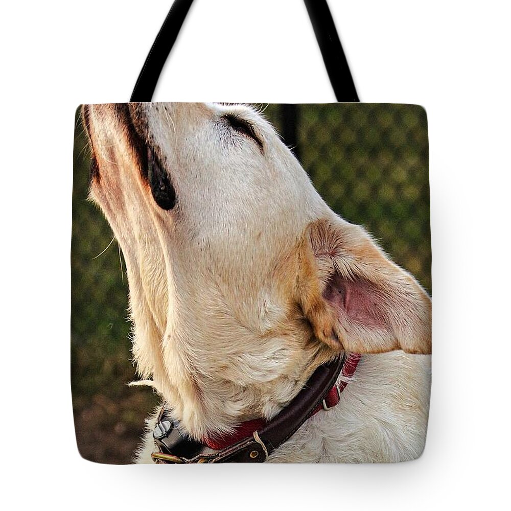 Dog Tote Bag featuring the photograph Yellow1 by John Linnemeyer