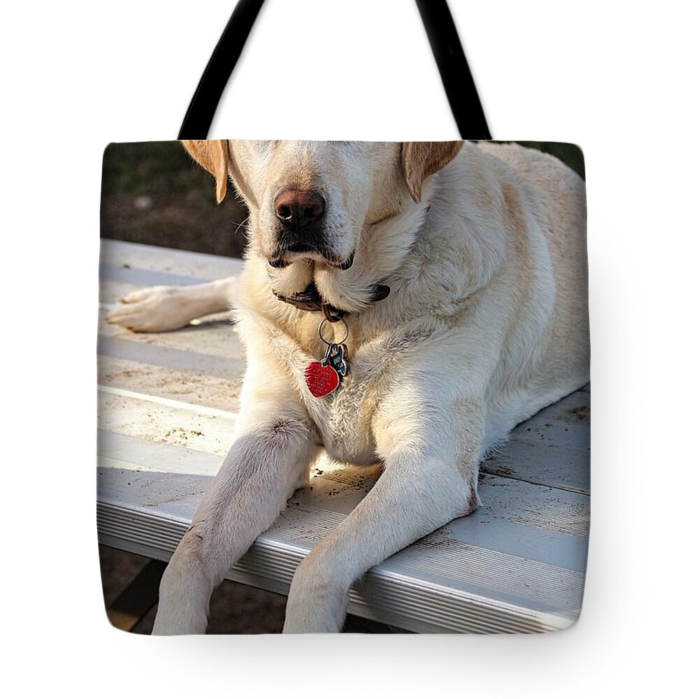 Dog Tote Bag featuring the photograph Yellow3 by John Linnemeyer