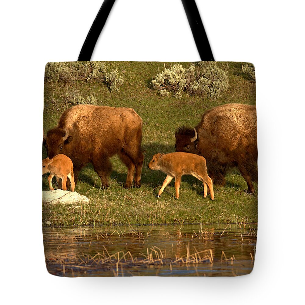 Yellowstone Tote Bag featuring the photograph Yellowstone Bison Red Dog Season by Adam Jewell