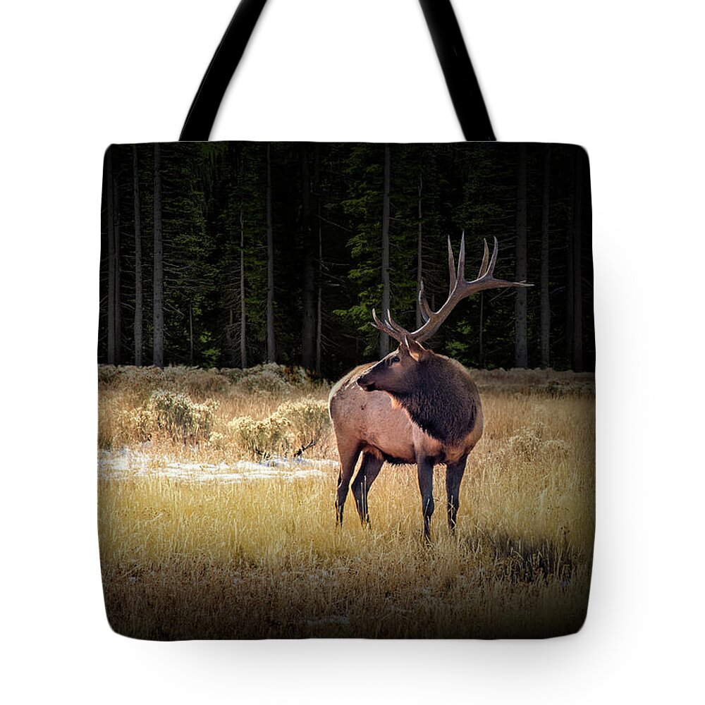 Elk Tote Bag featuring the photograph Yellowstone National Park Elk Wapiti by Randall Nyhof