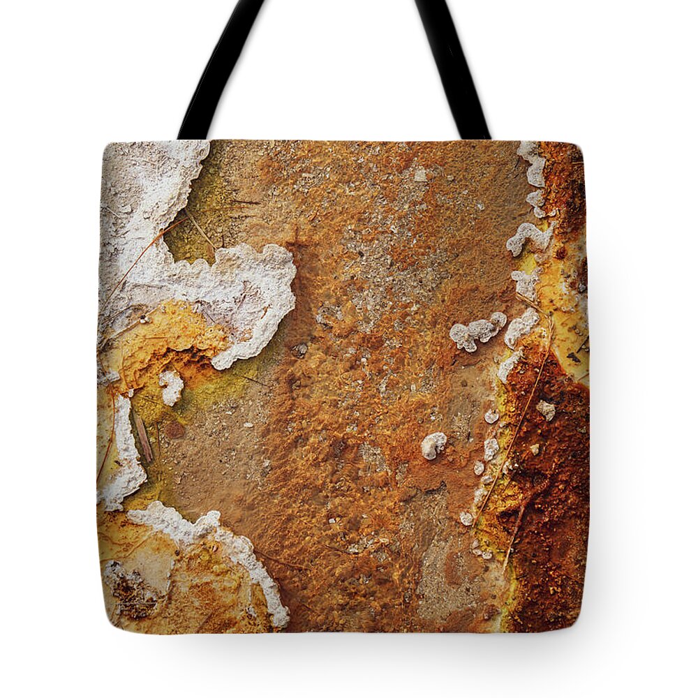 Nature Tote Bag featuring the photograph Yellowstone Vibez by Go and Flow Photos