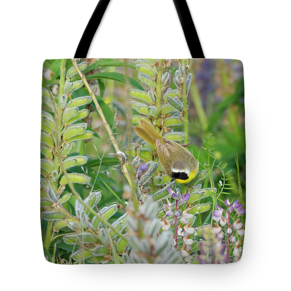 Kmaphoto Tote Bag featuring the photograph Yellowthroat in Wildflowers by Kristine Anderson