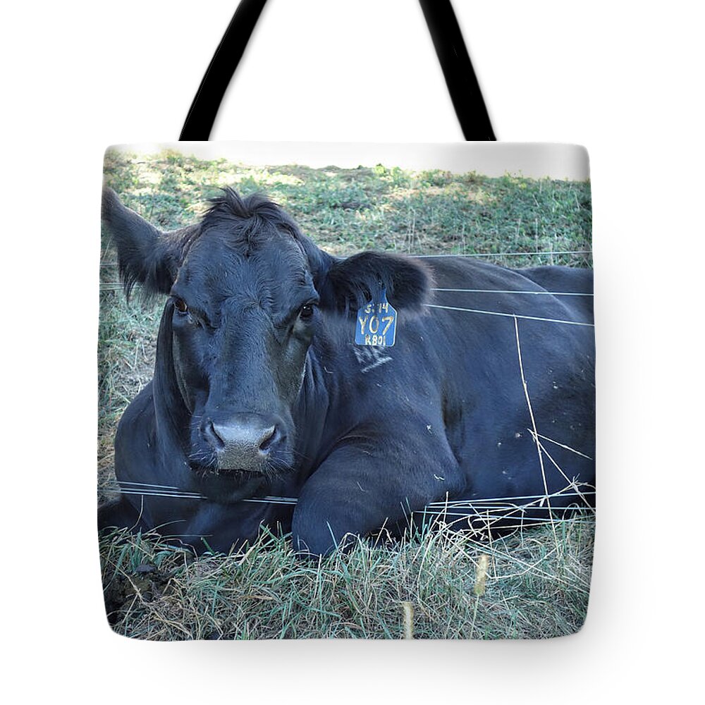 Wildlife Tote Bag featuring the photograph Yo7 Caught in Fence by Russ Considine