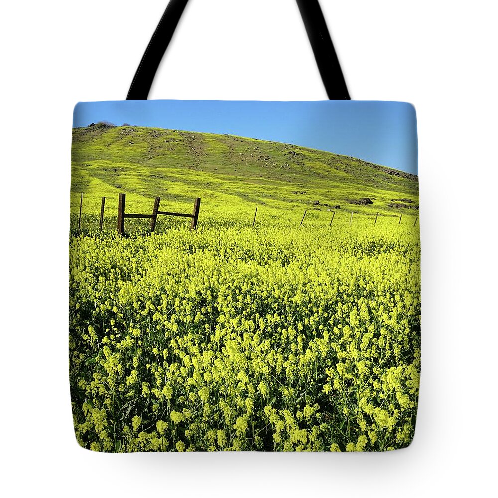Yokohl Valley Tote Bag featuring the photograph Yokohl Valley Blue and Yellow by Brett Harvey