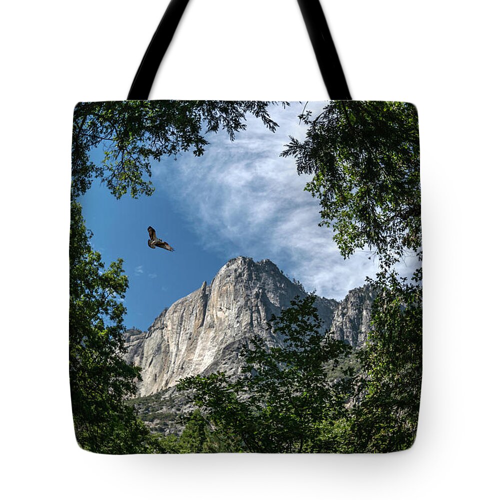 Landscape Tote Bag featuring the photograph Yosemite Osprey by Romeo Victor