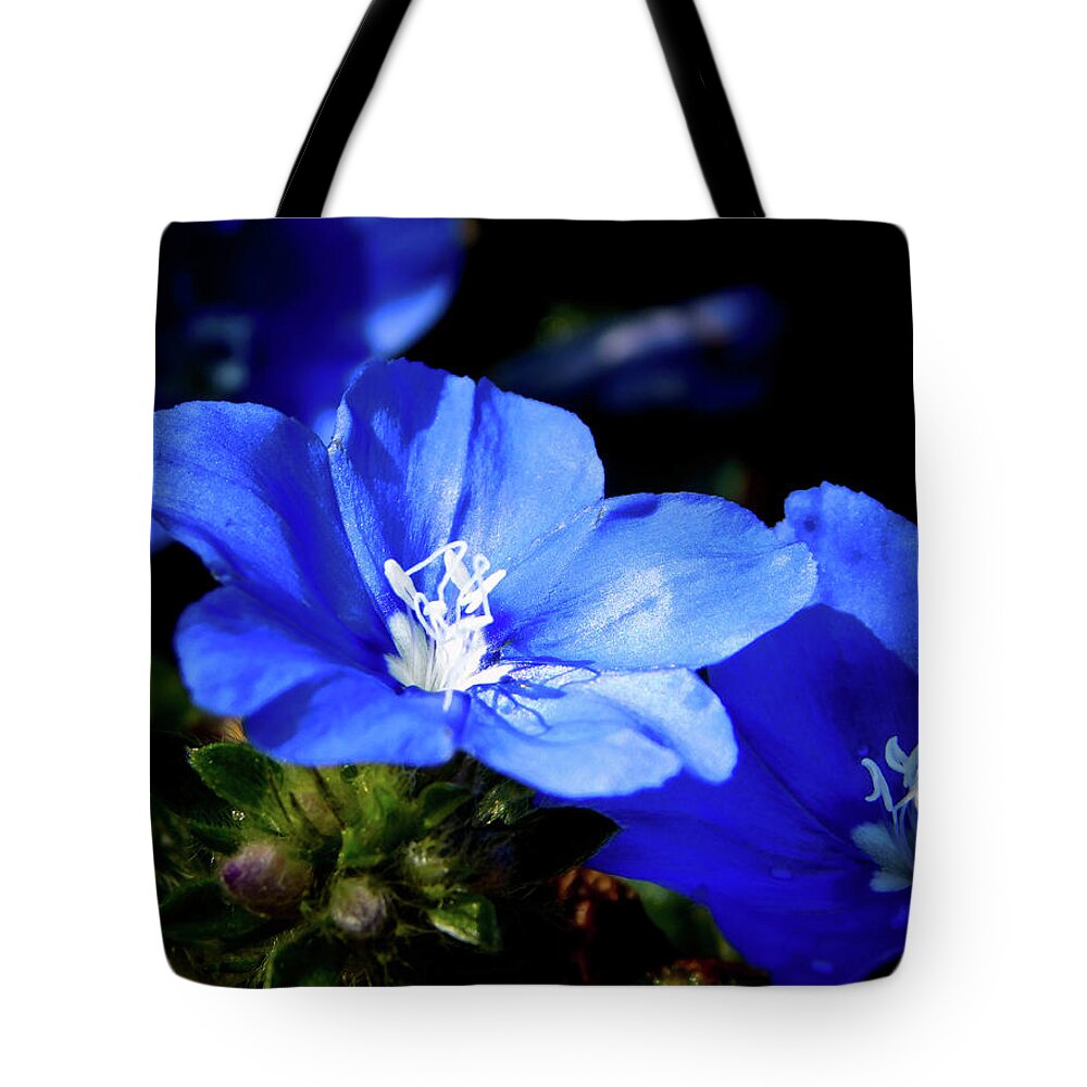 Blue Tote Bag featuring the photograph You Blue My Mind by Gena Herro