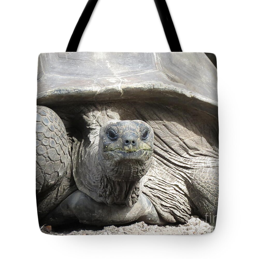 Cryptodira Tote Bag featuring the photograph You Looking At Me? by World Reflections By Sharon