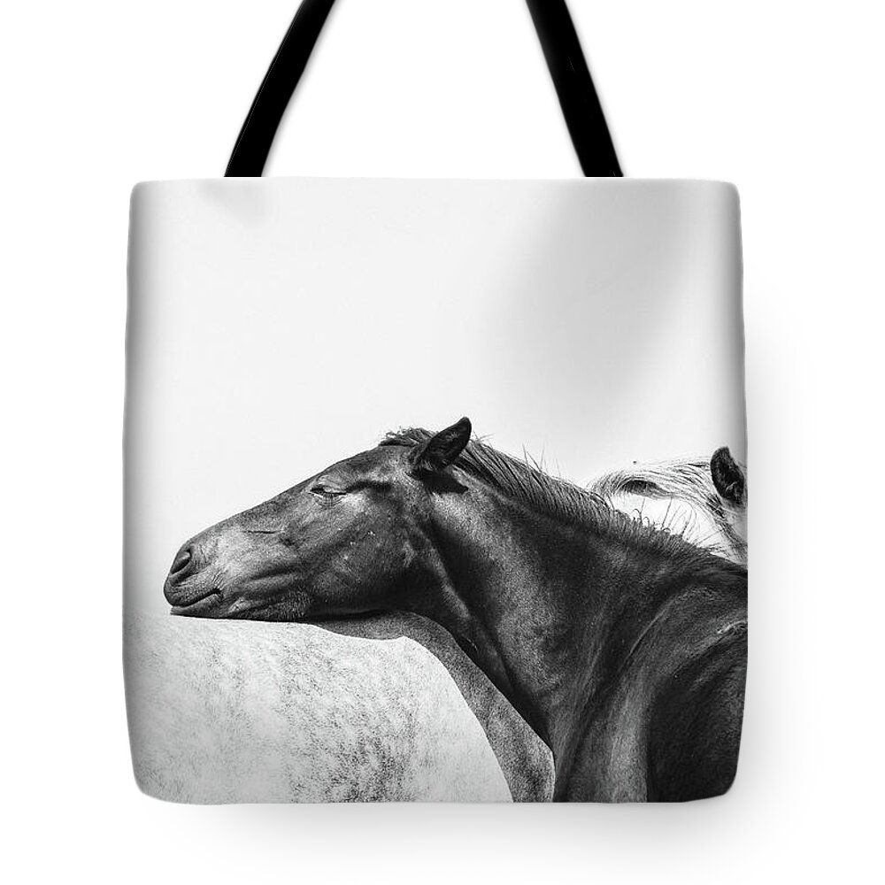 Horse Tote Bag featuring the photograph You Mean The World To Me - Horse Art by Lisa Saint