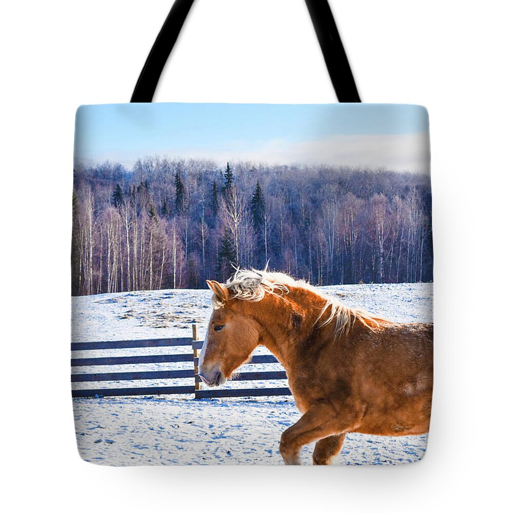 Winter Tote Bag featuring the photograph Young Juno by Listen To Your Horse