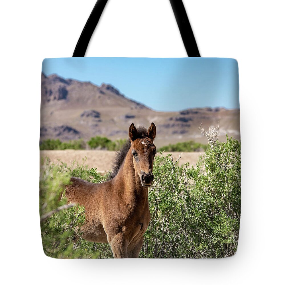 Wild Horses Tote Bag featuring the photograph Young Bay Trust by Dirk Johnson