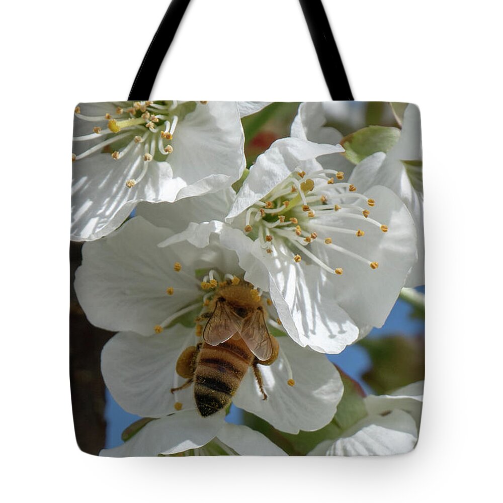 Bee Tote Bag featuring the photograph Yummmm by Leslie Struxness