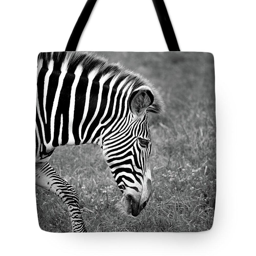 Zebra Tote Bag featuring the photograph Zebra Black and White by Deborah M