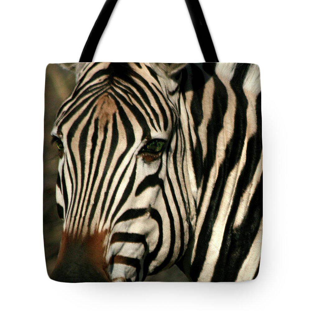 Zebra Tote Bag featuring the photograph Zebra Eye by Karen Zuk Rosenblatt