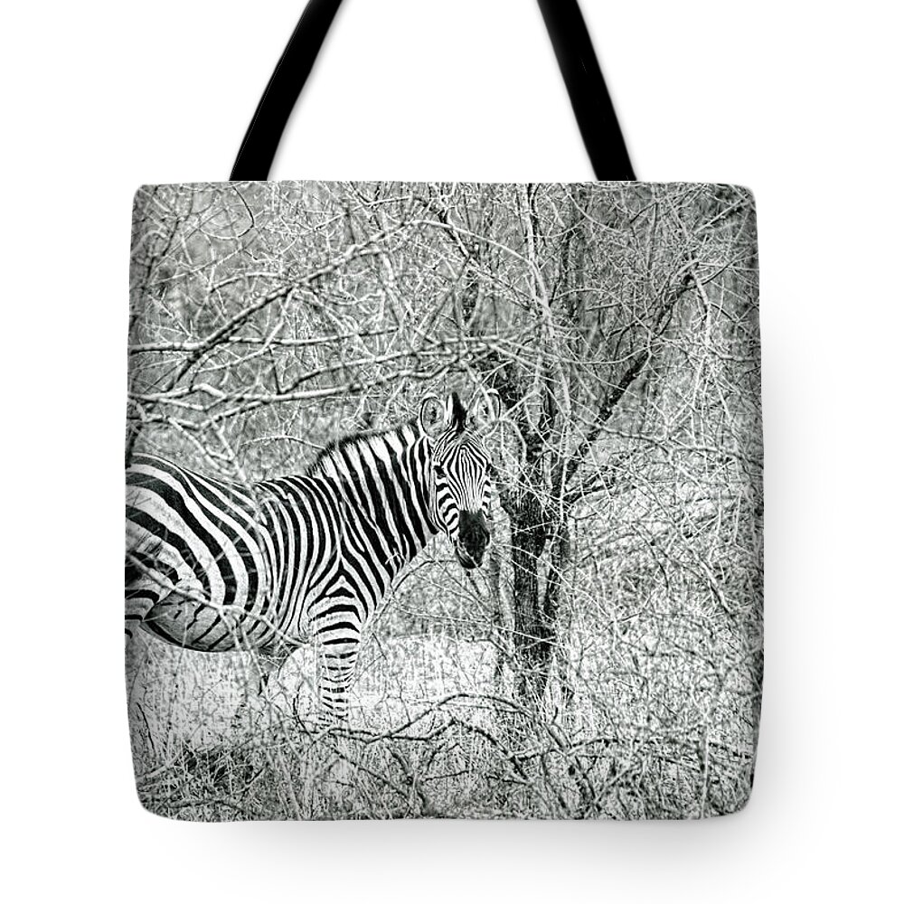 Zebra Tote Bag featuring the photograph Zebra In The Bush by Tom Watkins PVminer pixs