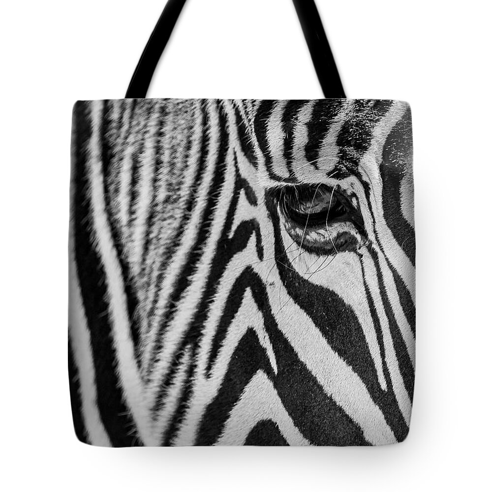 Zebra Tote Bag featuring the photograph Zebra's Eye by Holly Ross