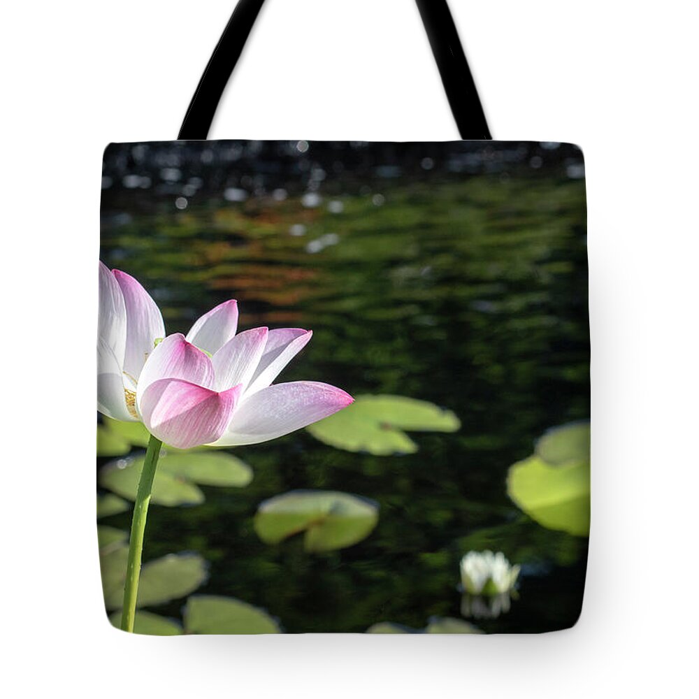 Zen Beauty Tote Bag featuring the photograph Zen Beauty by Patty Colabuono