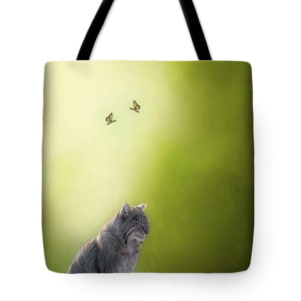 Bobcat Tote Bag featuring the photograph Zen Cat by Bill Wakeley