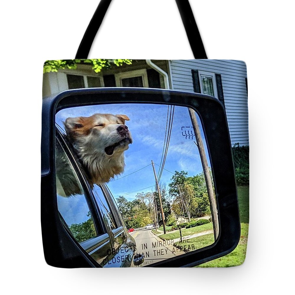  Tote Bag featuring the photograph Zen Doggo by Brad Nellis