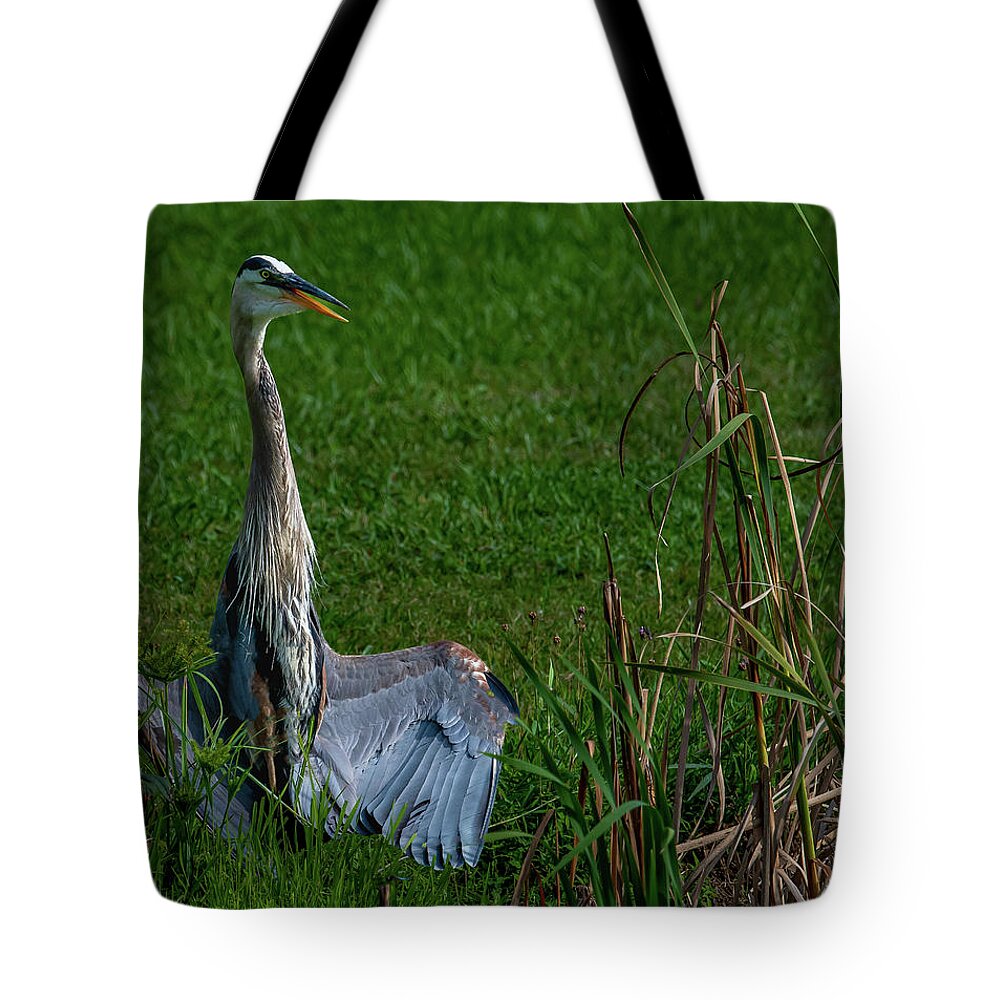 Animals Tote Bag featuring the photograph Zen Heron by Brian Shoemaker