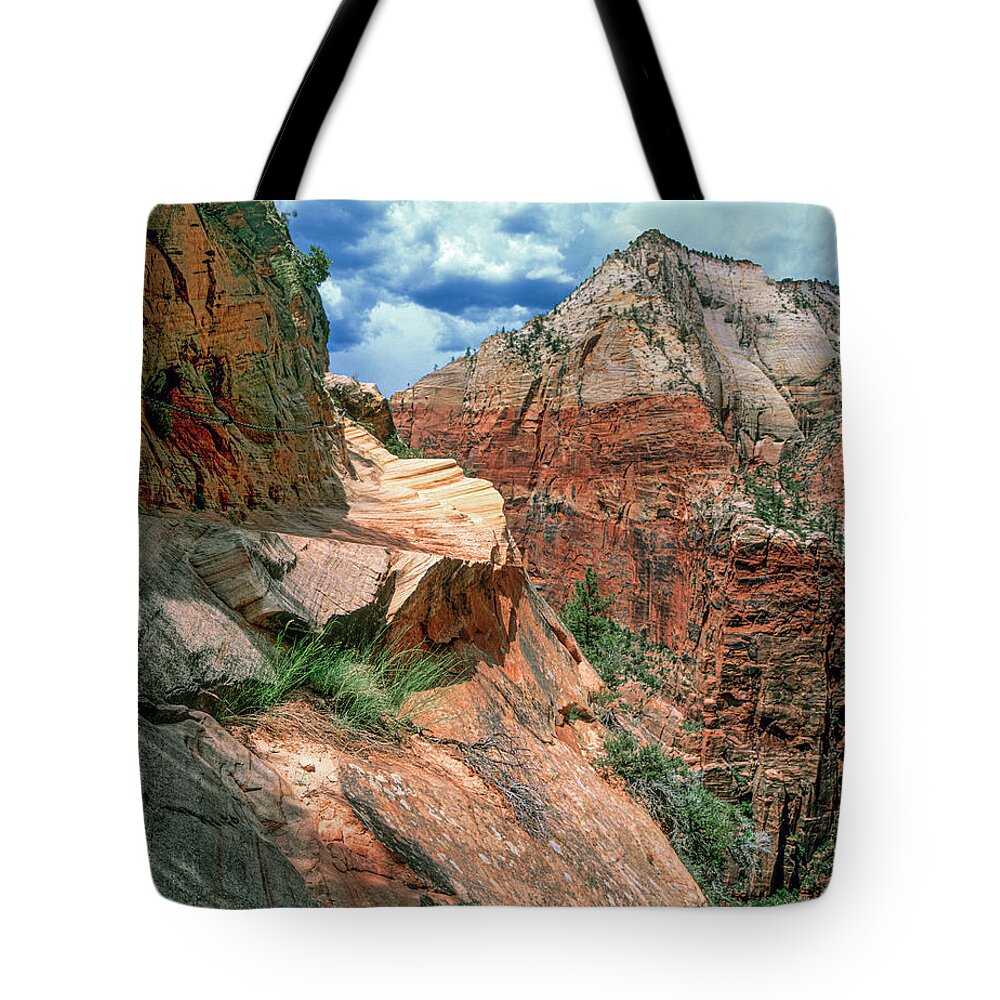 Trail Tote Bag featuring the photograph Zion Hidden Trail by Randy Bradley