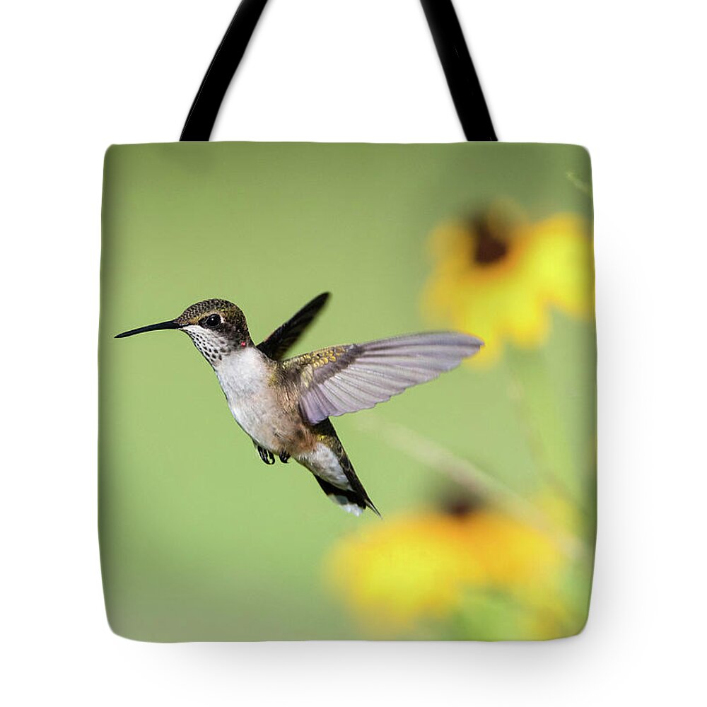 Ruby Throated Hummingbird Tote Bag featuring the photograph Zoom Zoom by Linda Shannon Morgan