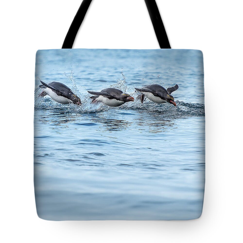 Penguin Tote Bag featuring the photograph Zooooooommmmm... by Linda Villers