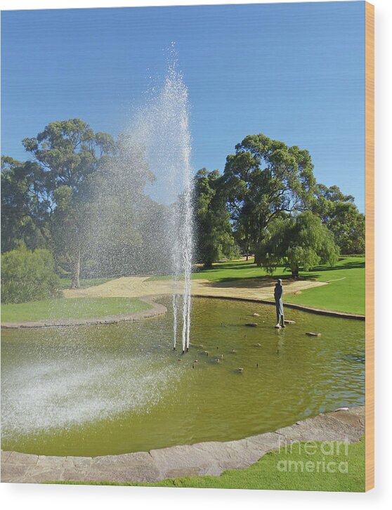 Pioneer Women's Fountain Wood Print featuring the photograph Pioneer Women's Fountain - Kings Park - Perth - Australia by Phil Banks