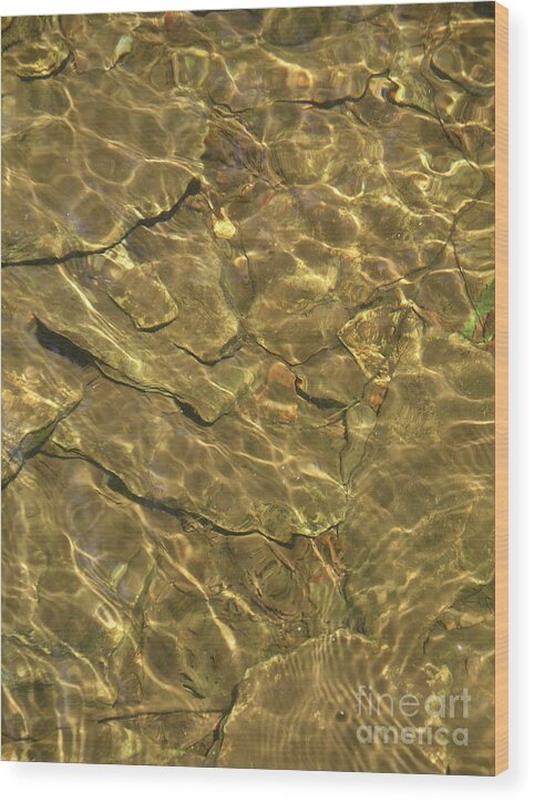 Water Wood Print featuring the photograph Golden Pool by Mark Messenger