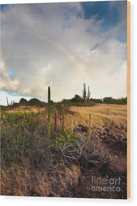 Landscape Wood Print featuring the photograph Rainbow on the savane by Matteo Colombo