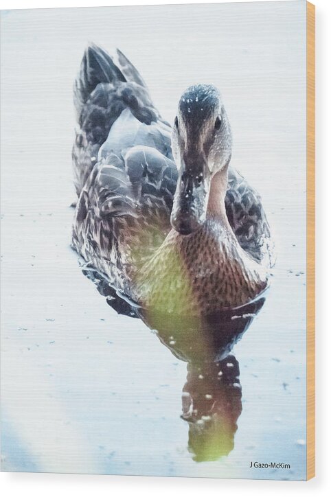 Bird Wood Print featuring the photograph Sunlit Mallard by Jo-Anne Gazo-McKim