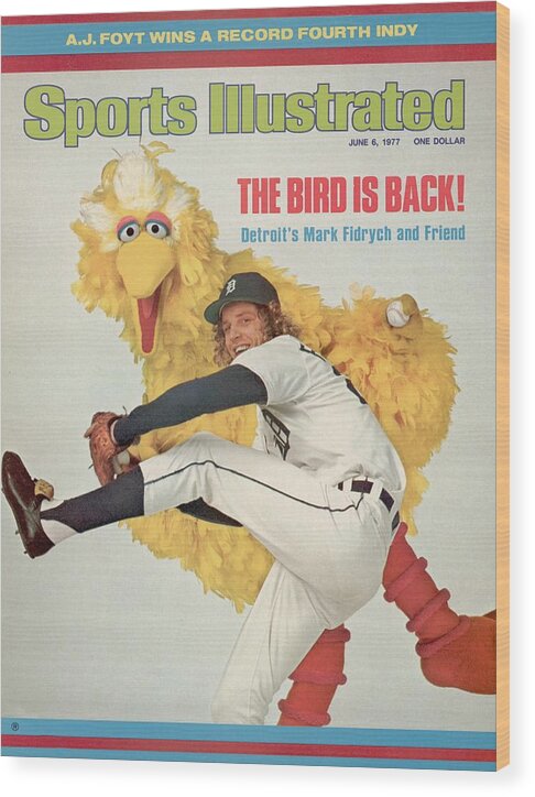Magazine Cover Wood Print featuring the photograph Detroit Tigers Mark Fidrych And Sesame Streets Big Bird Sports Illustrated Cover by Sports Illustrated