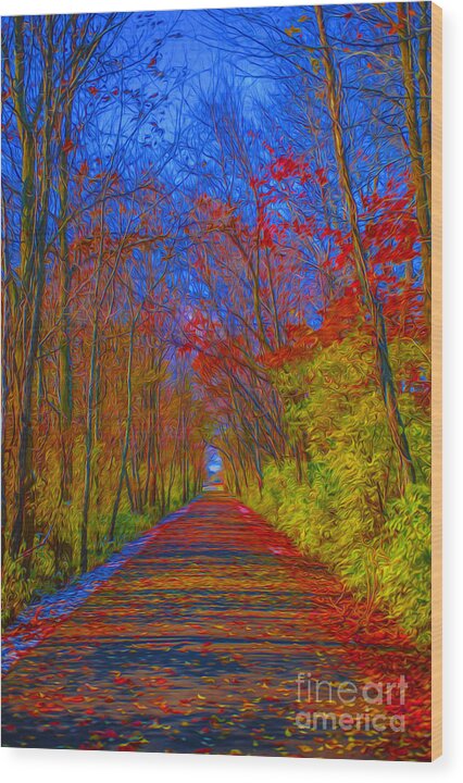 Tree Wood Print featuring the photograph Indiana Trees Digital OIL by David Haskett II