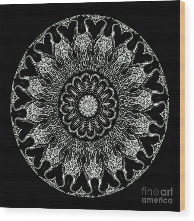 Ernst Haeckel Wood Print featuring the photograph Kaleidoscope Ernst Haeckl Sea Life Series Black and White Set On #3 by Amy Cicconi
