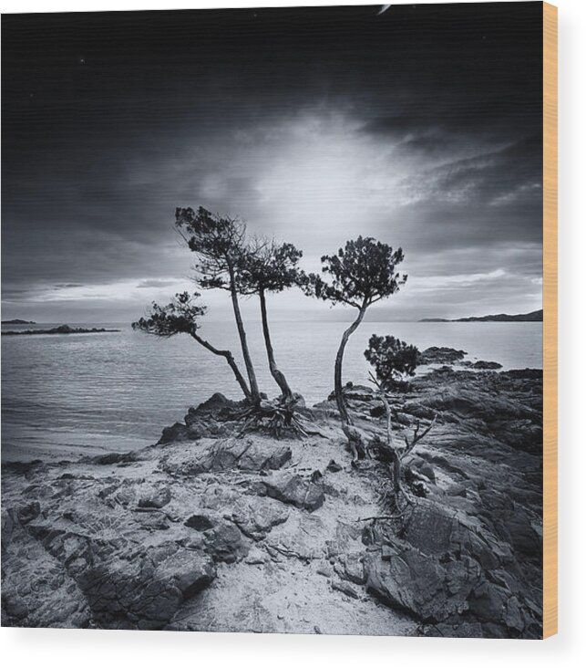 Seascape Wood Print featuring the photograph Emotional High by Philippe Sainte-Laudy