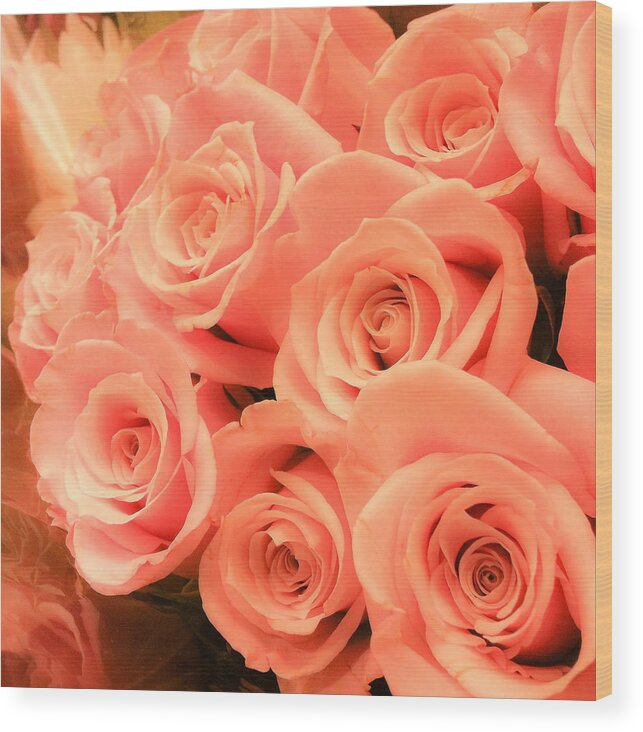 Roses Wood Print featuring the photograph Soft Circles by Tim Stanley
