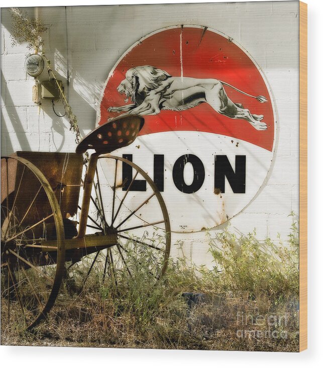 Lion Oil Wood Print featuring the photograph The Lion and the Chariot by T Lowry Wilson