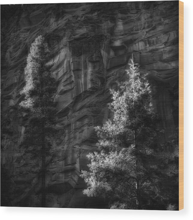 Landscape Wood Print featuring the photograph West Fork Rock Face Number Three Black and White by Bob Coates