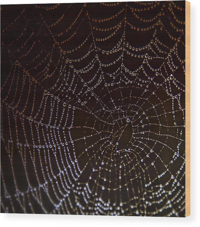 Web Wood Print featuring the photograph The Web by Kate Hannon