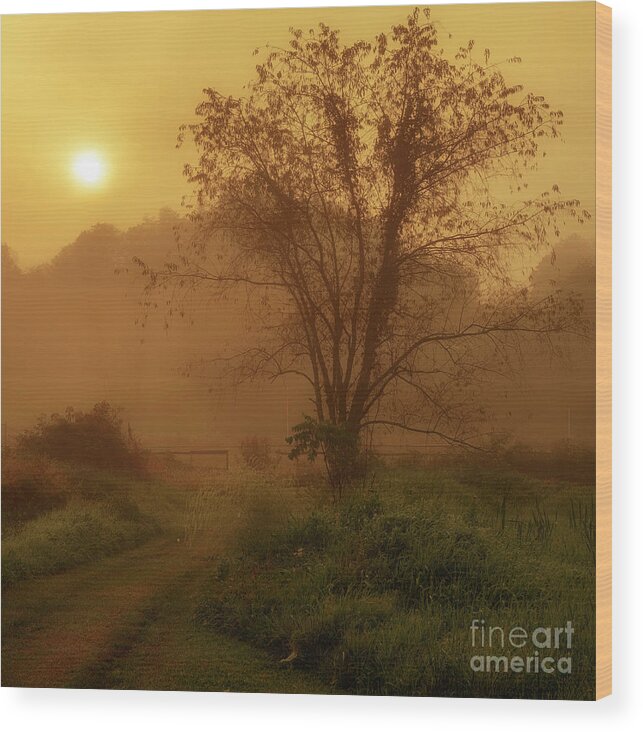 Sunrise Wood Print featuring the photograph Misty Mountain Sunrise #28 by Thomas R Fletcher