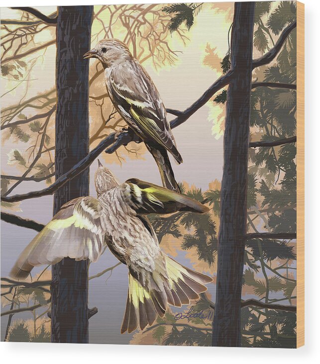 Pine Siskins Wood Print featuring the digital art Pine Sisikins Morning Light by Pam Little