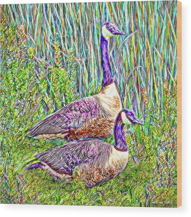Joelbrucewallach Wood Print featuring the digital art The Goose And The Gander - Lakeside Scene In Boulder County Colorado by Joel Bruce Wallach