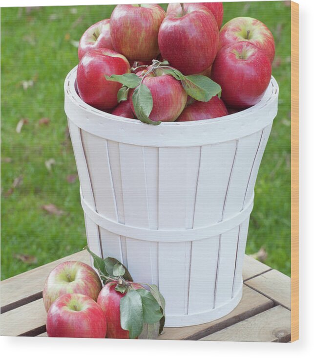 Outdoors Wood Print featuring the photograph Basket Of Honey Crisp Apples by Wholden