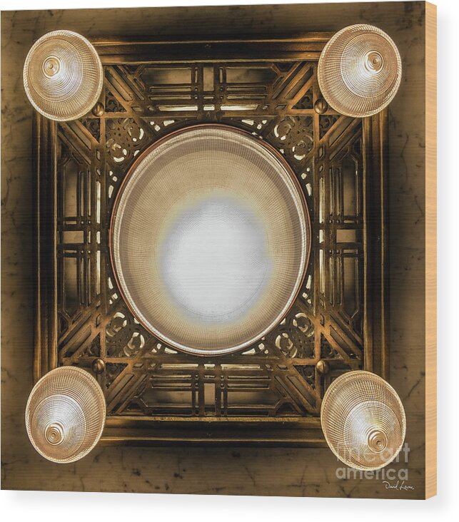 Art Wood Print featuring the photograph A Chandelier in the Rookery by David Levin
