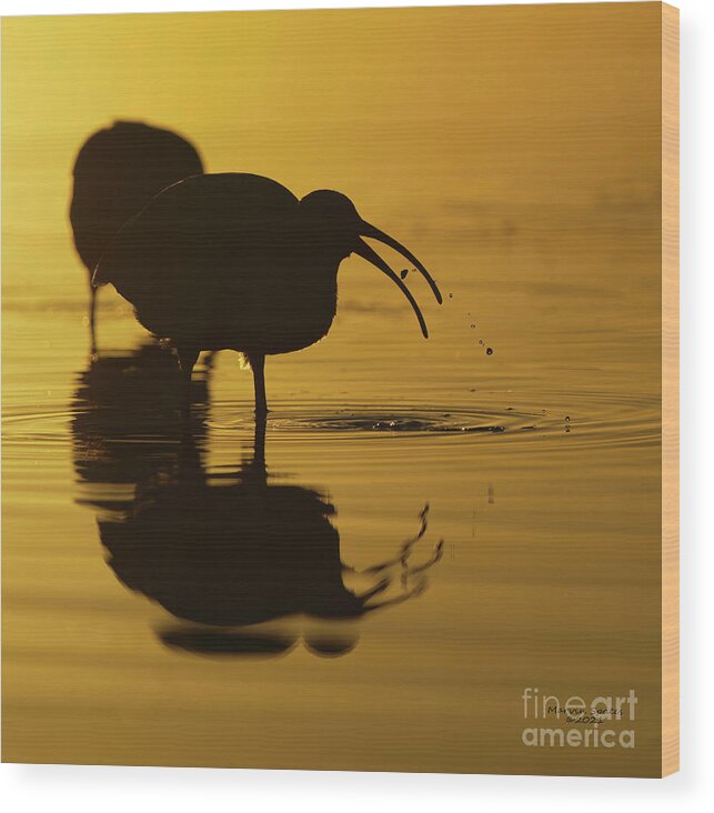 Bird Wood Print featuring the photograph Catching Dinner by Marvin Spates