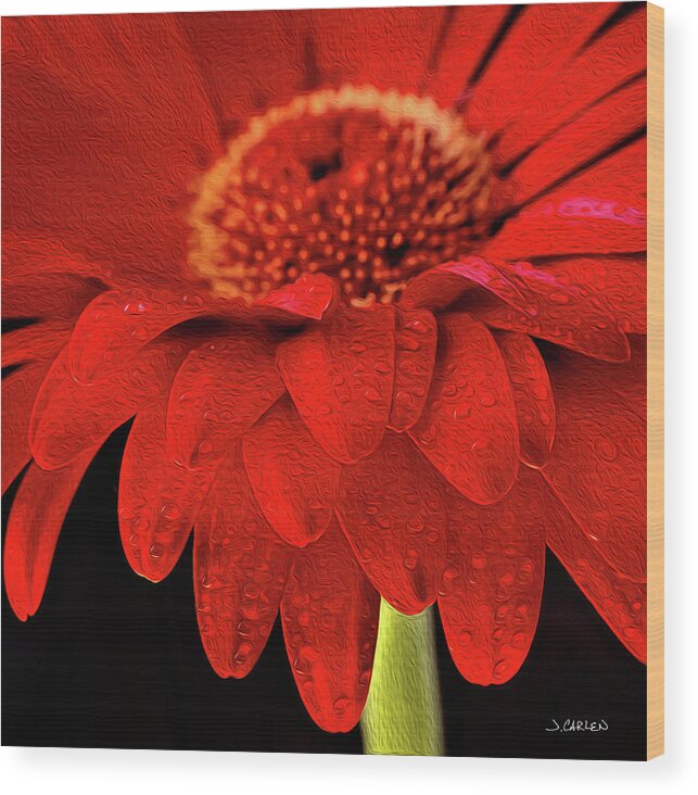 Flowers Wood Print featuring the photograph Fiery Elegance by Jim Carlen