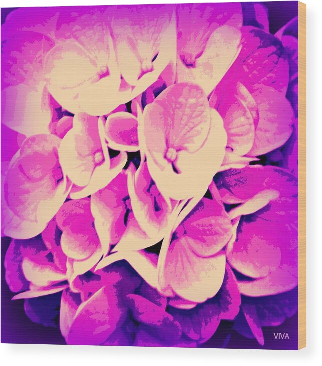 Hydrangea Wood Print featuring the photograph Hydrangea Purple Glory Moderne by VIVA Anderson